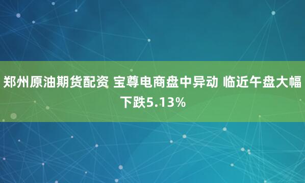 郑州原油期货配资 宝尊电商盘中异动 临近午盘大幅下跌5.13%