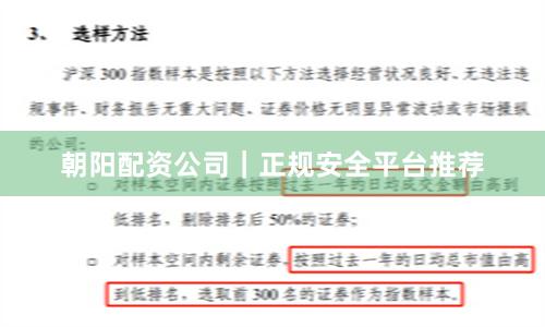 朝阳配资公司｜正规安全平台推荐